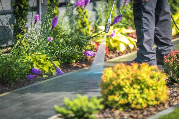 Best Patio and Deck Pressure Washing  in Palm Bay, FL