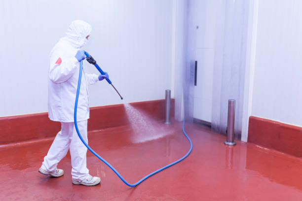 Best Pre-Holiday Cleaning  in Palm Bay, FL