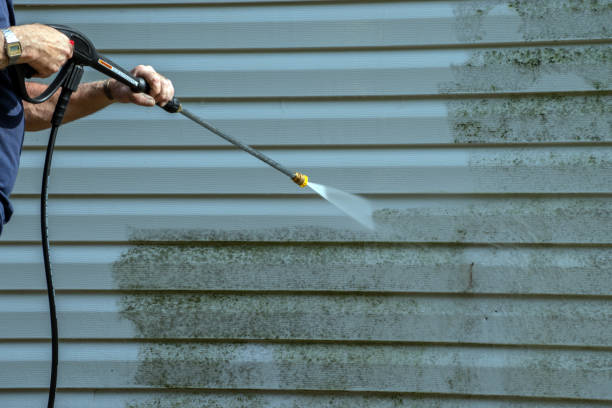 Best Gutter Cleaning  in Palm Bay, FL
